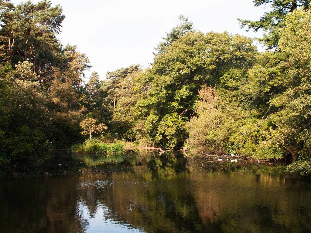 Bryngarw House Hotel Bridgend  Esterno foto